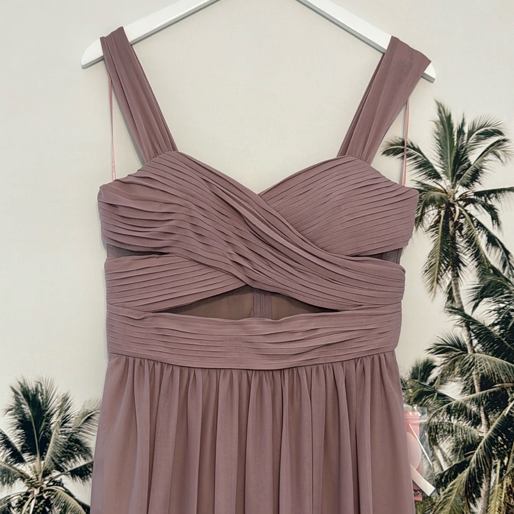 Birdy Grey Elsye Dress Mesh Mauve Bridesmaids Floor Length Gown Mesh Cutout - Picture 3 of 10